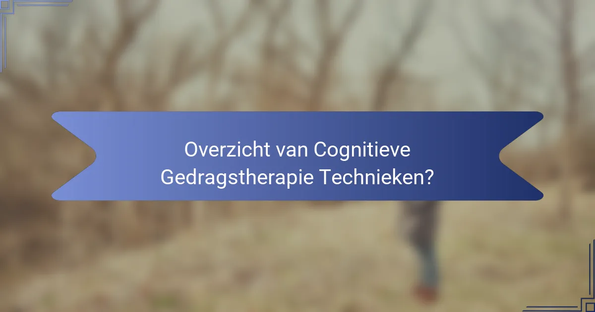 Overzicht van Cognitieve Gedragstherapie Technieken?