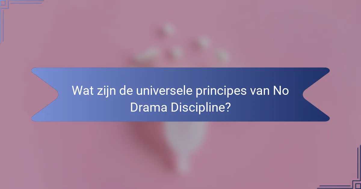Wat zijn de universele principes van No Drama Discipline?