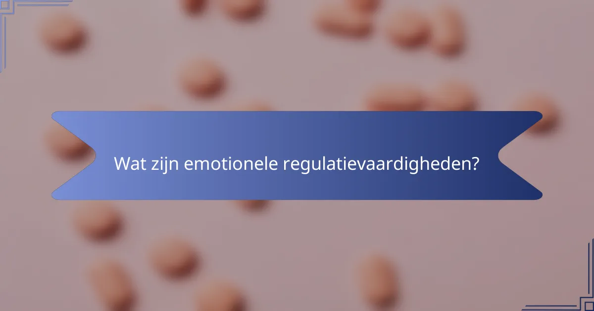 Wat zijn emotionele regulatievaardigheden?
