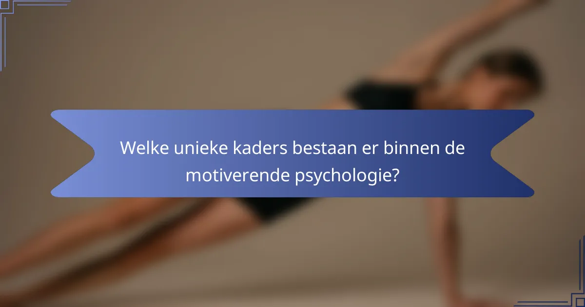 Welke unieke kaders bestaan er binnen de motiverende psychologie?